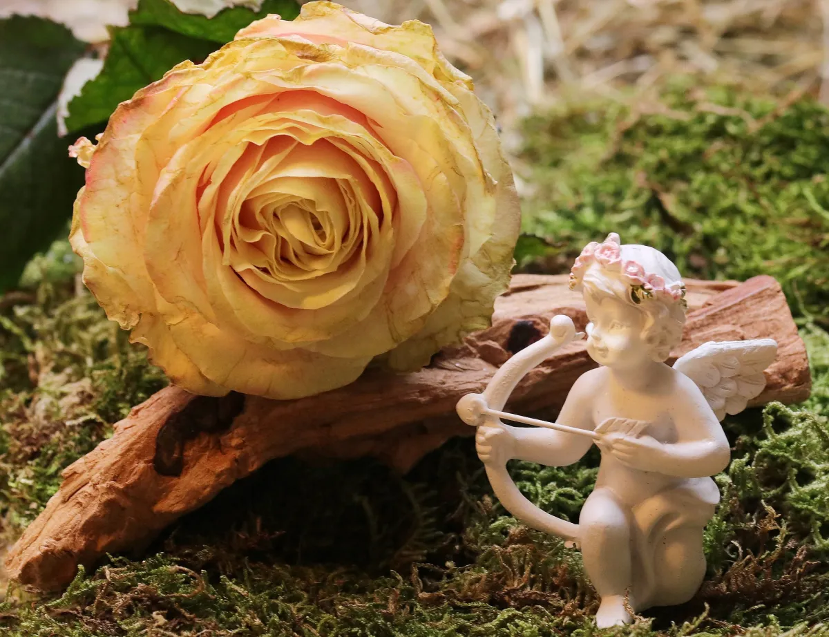Êtes-vous fermé à l'amour ?