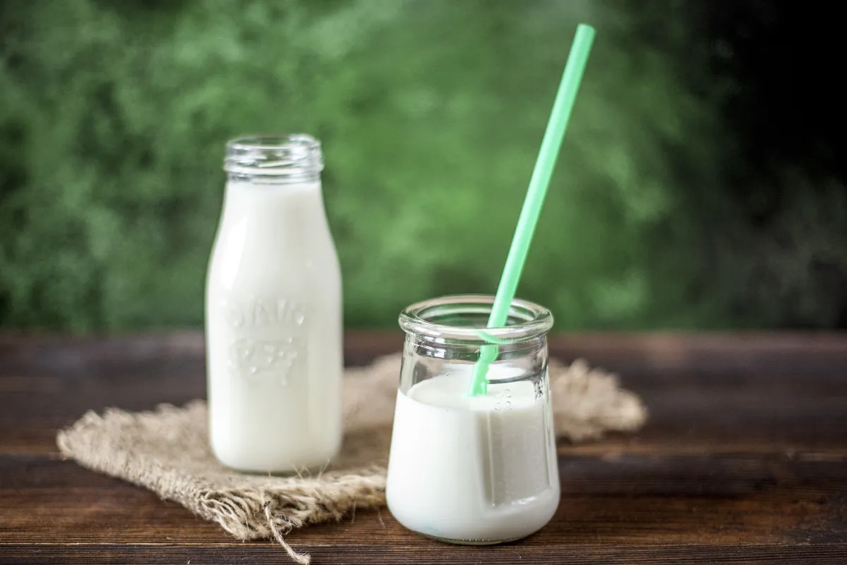The benefits of kefir