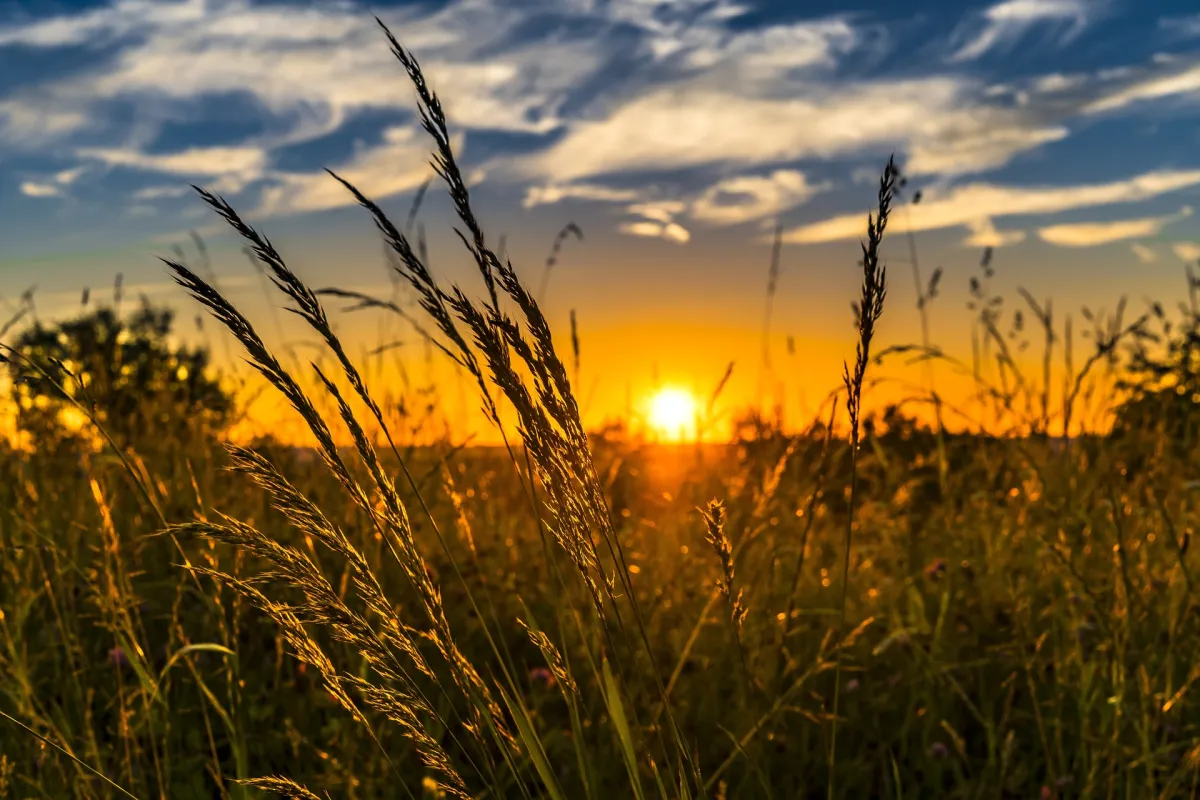 Inovações na Agricultura