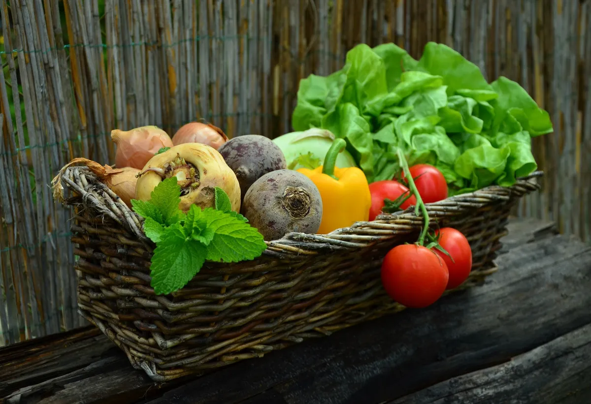 Les 10 aliments les plus alcalinisants