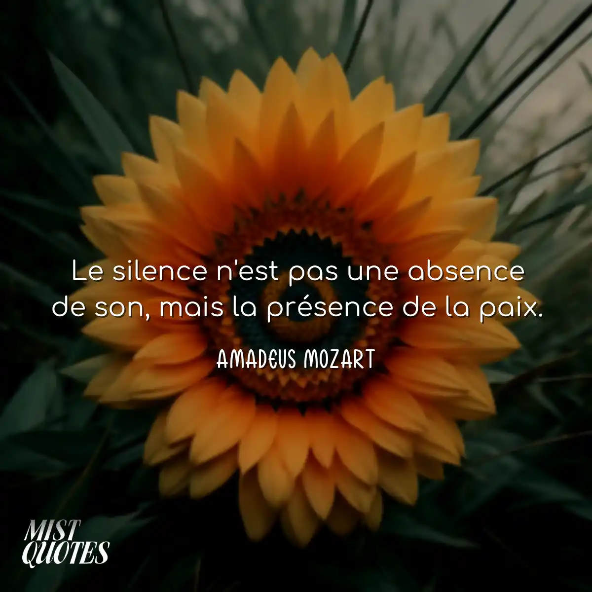 Le silence n'est pas une absence de son, mais la p