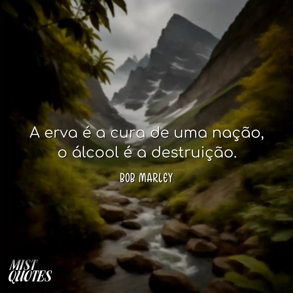 A erva é a cura de uma nação, o álcool é a destrui