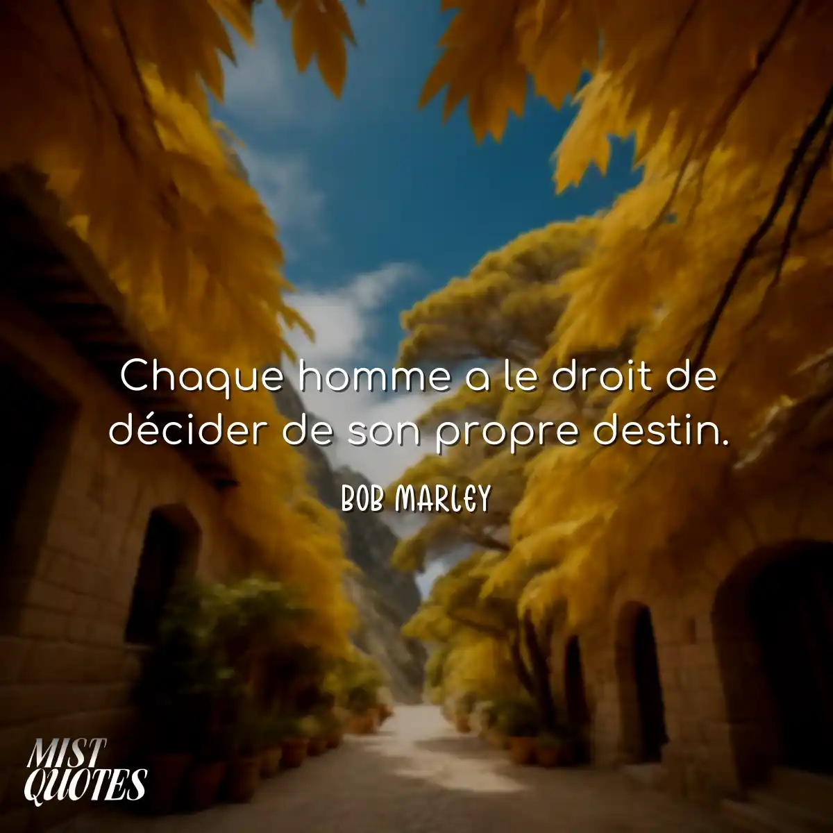 Chaque homme a le droit de décider de s
