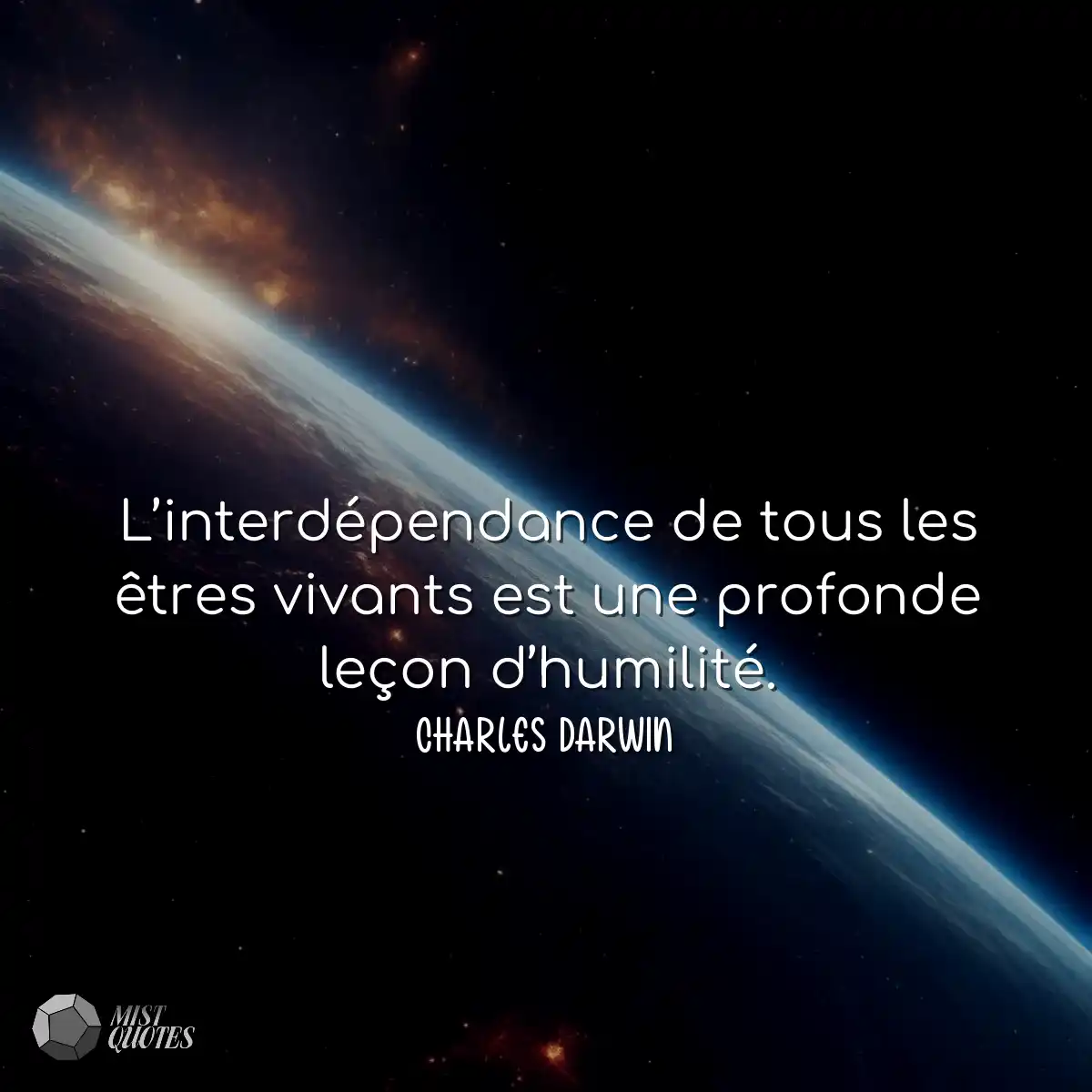 L’interdépendance de tous les êtres vivants est un