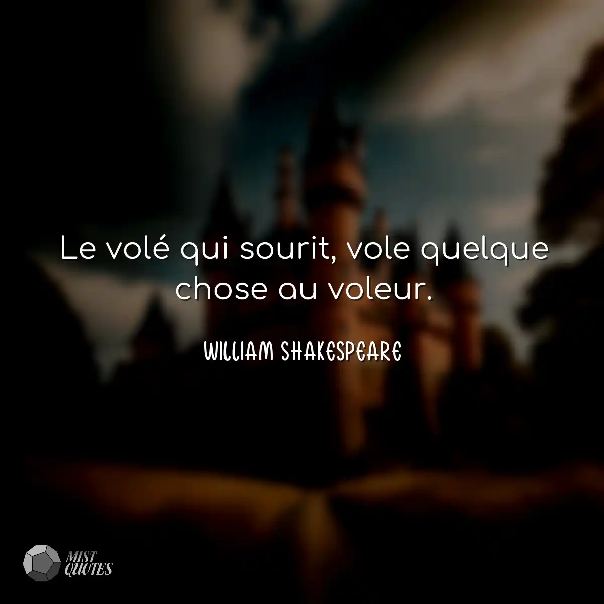 Le volé qui sourit, vole quelque chose 