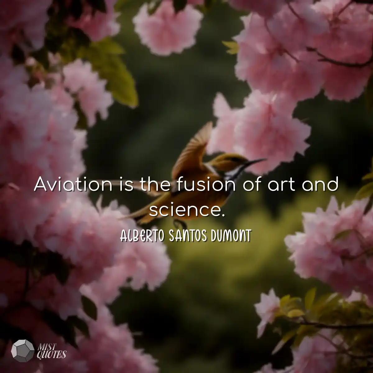 La aviación es la fusión del arte y la