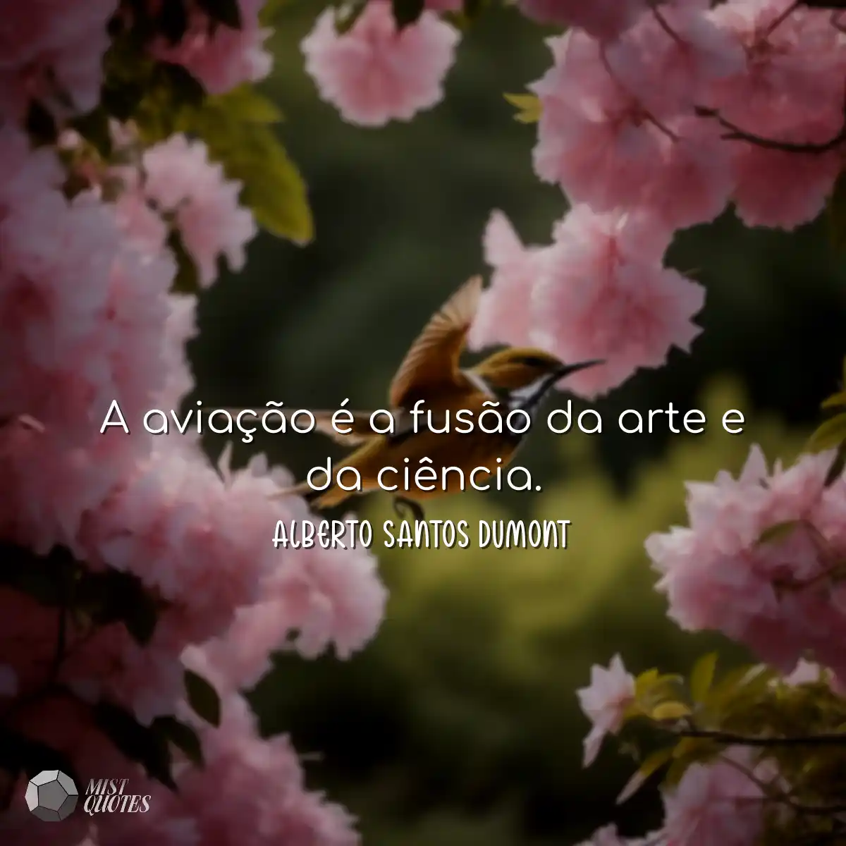 A aviação é a fusão da arte e da ci