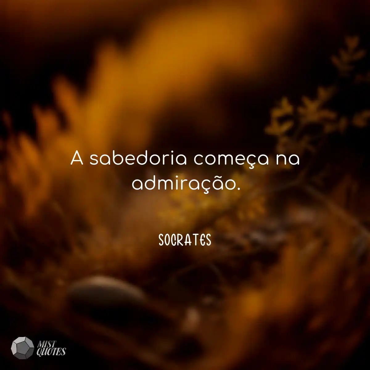 A sabedoria começa na admiração.