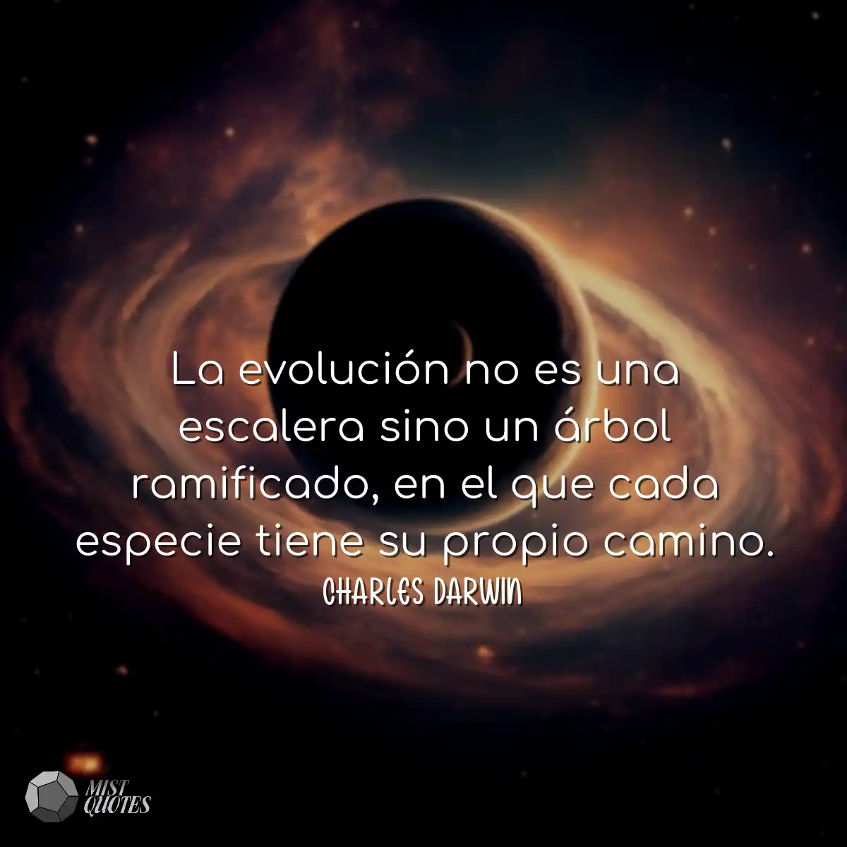 La evolución no es una escalera sino un