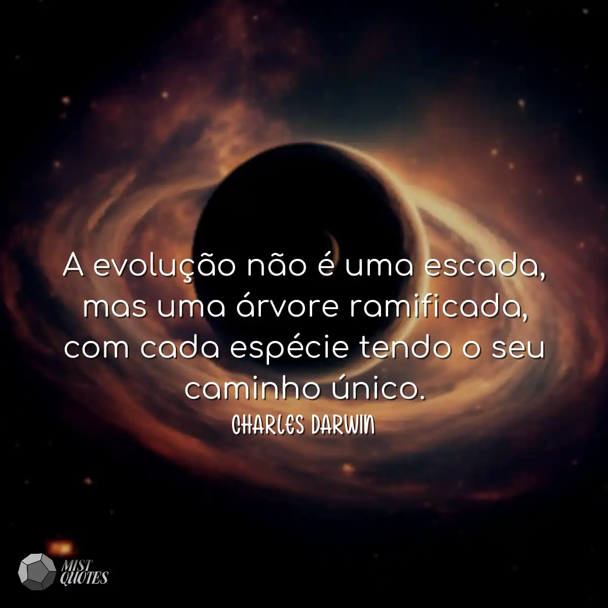 A evolução não é uma escada, mas uma