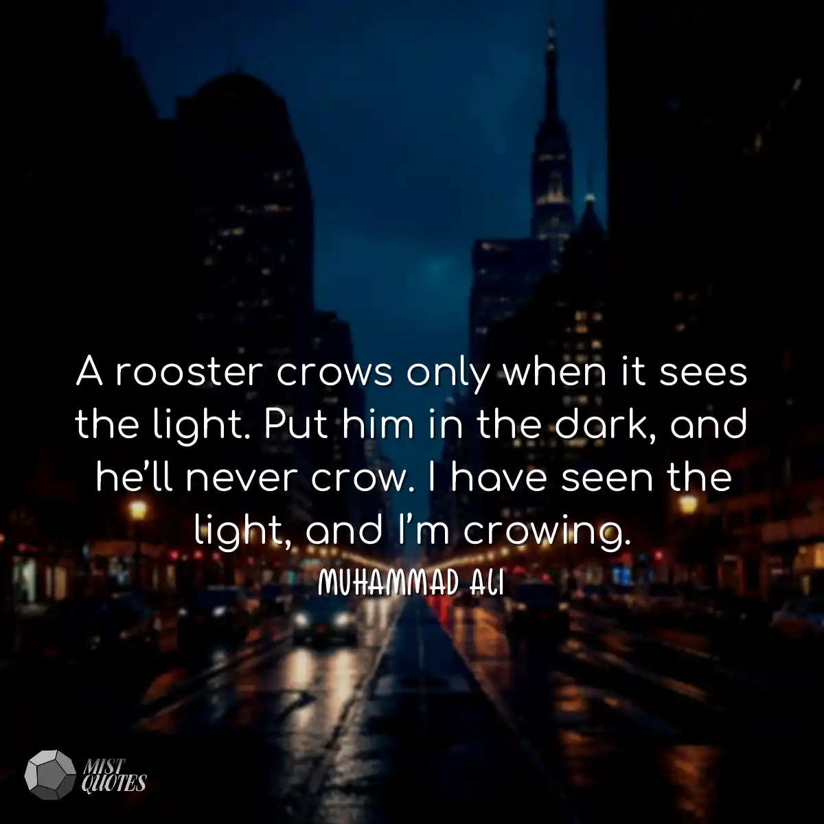 A rooster crows only when it sees the li