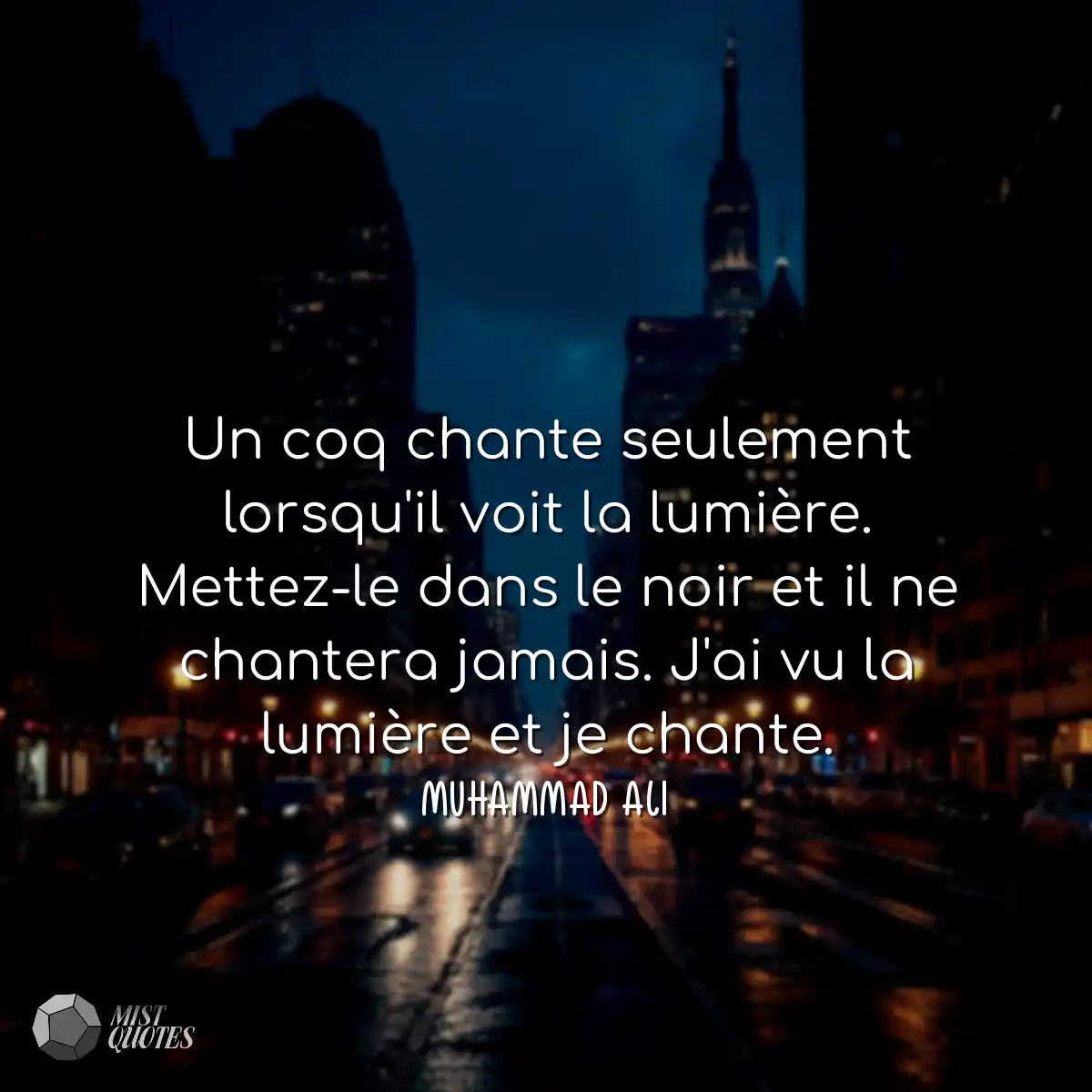 Un coq chante seulement lorsqu'il voit l