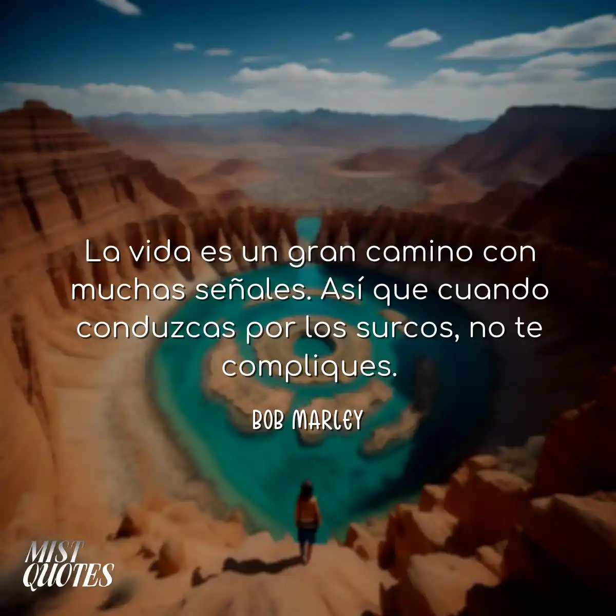 La vida es un gran camino con muchas se