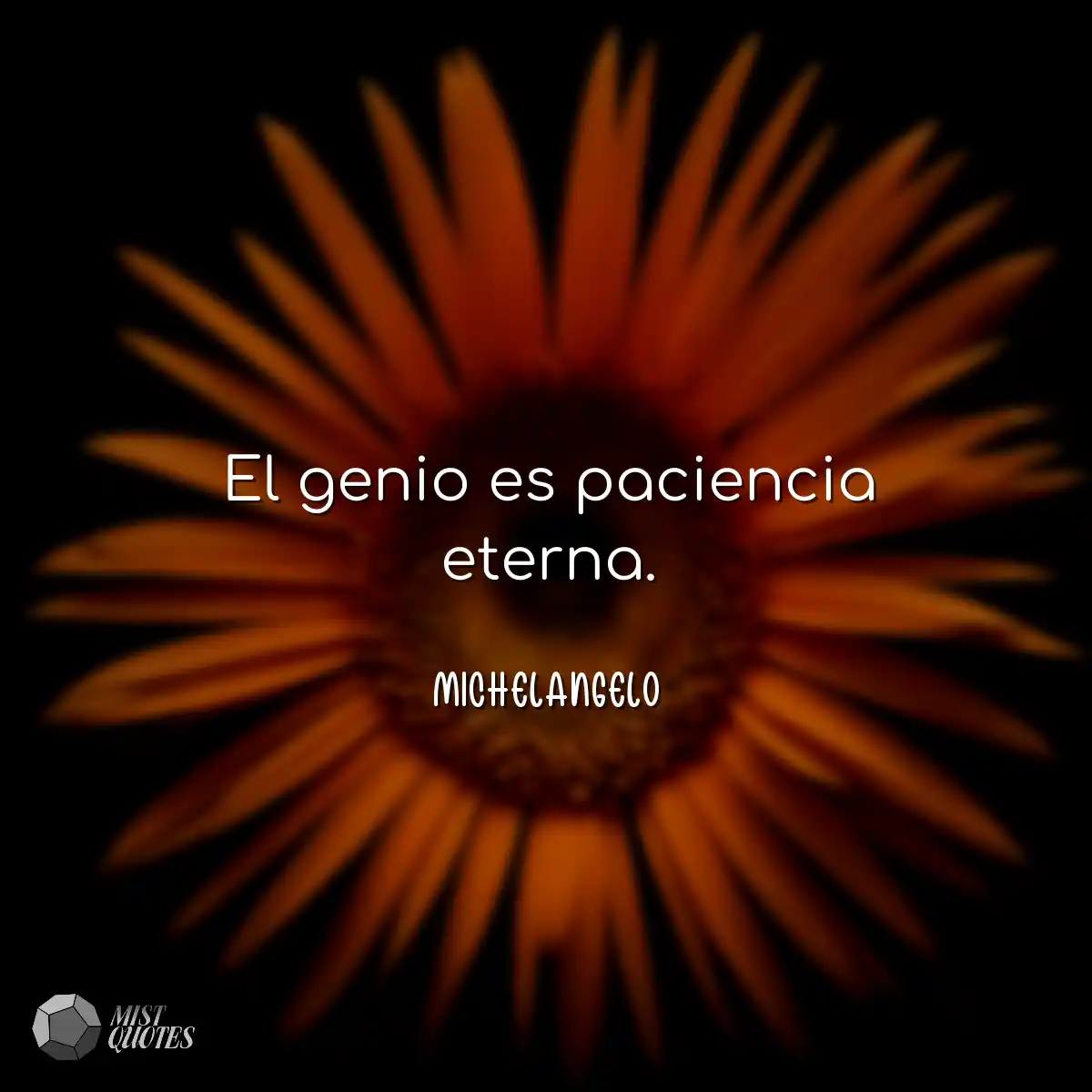 El genio es paciencia eterna.