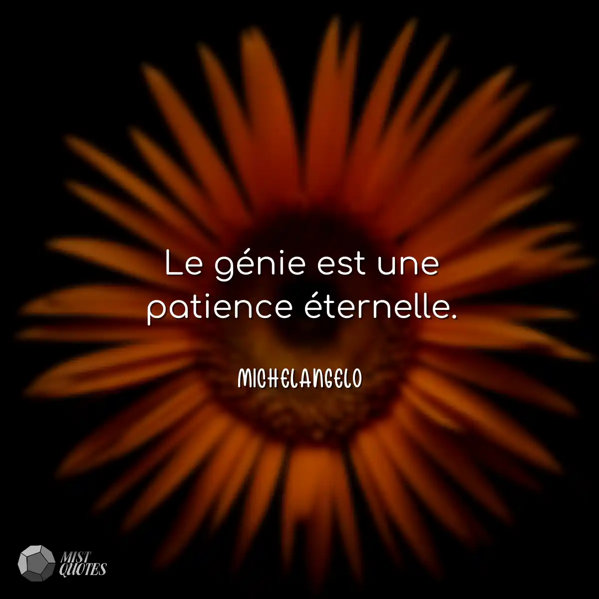 Le génie est une patience éternelle.
