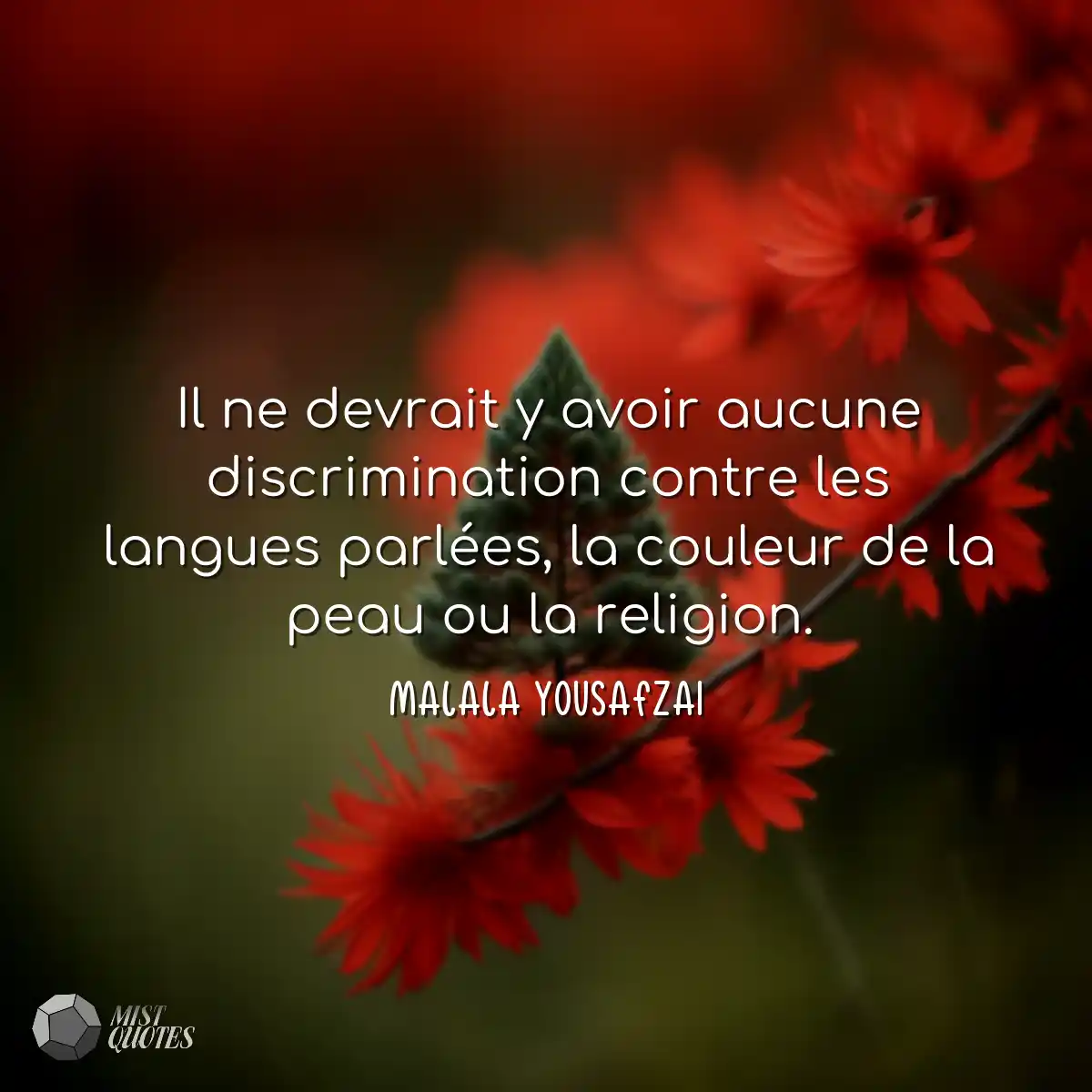 Il ne devrait y avoir aucune discriminat