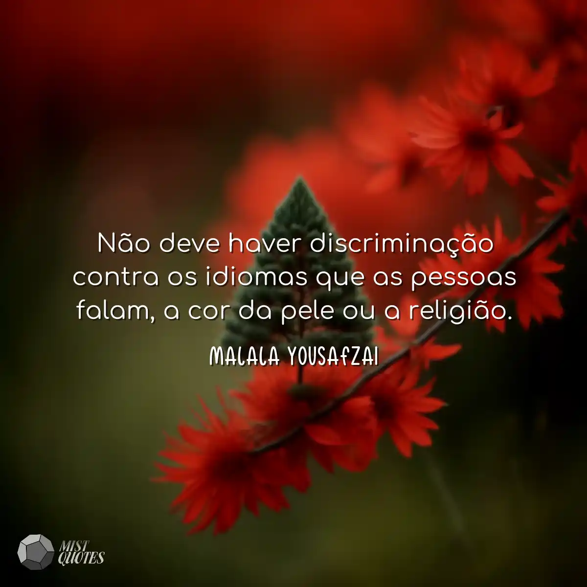 Não deve haver discriminação contra o