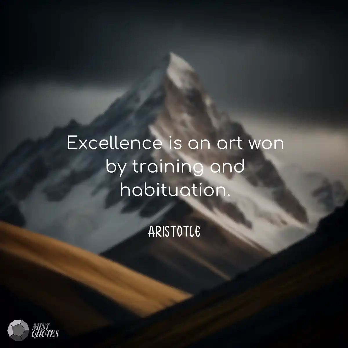 Excellence is an art won by training and