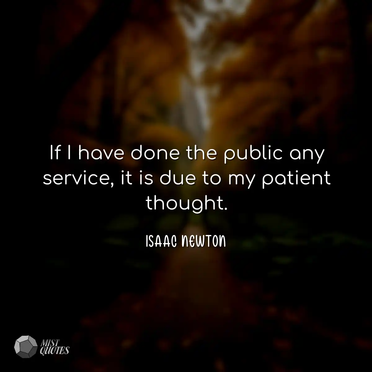 If I have done the public any service, it is due t