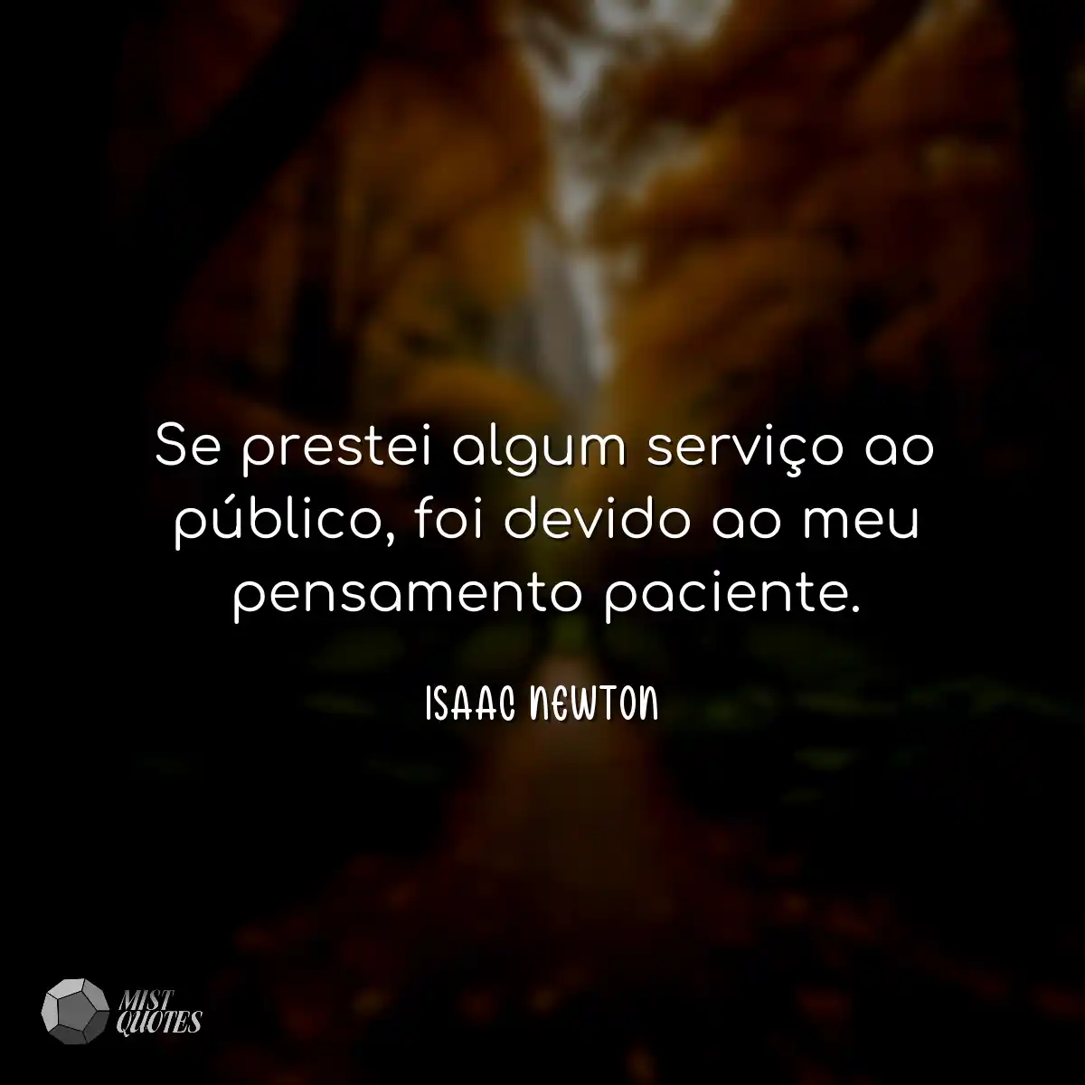 Se prestei algum serviço ao público, foi devido ao