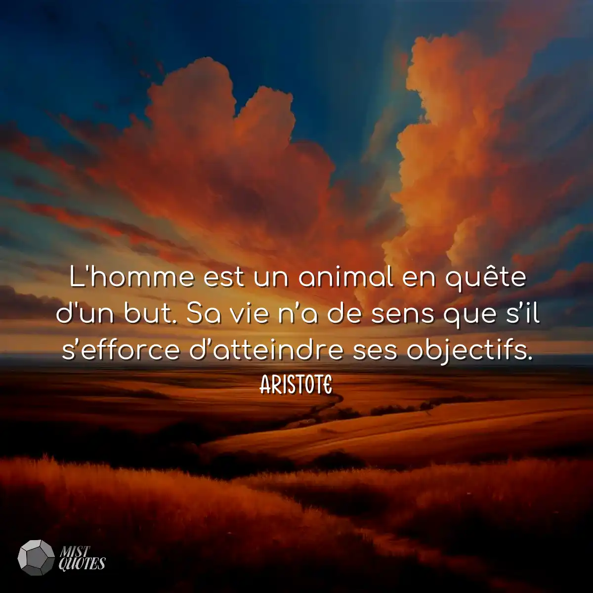 L'homme est un animal en quête d'un but. Sa vie n’