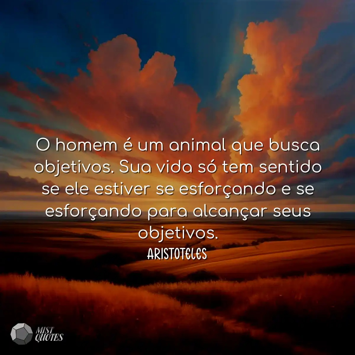 O homem é um animal que busca objetivos. Sua vida 