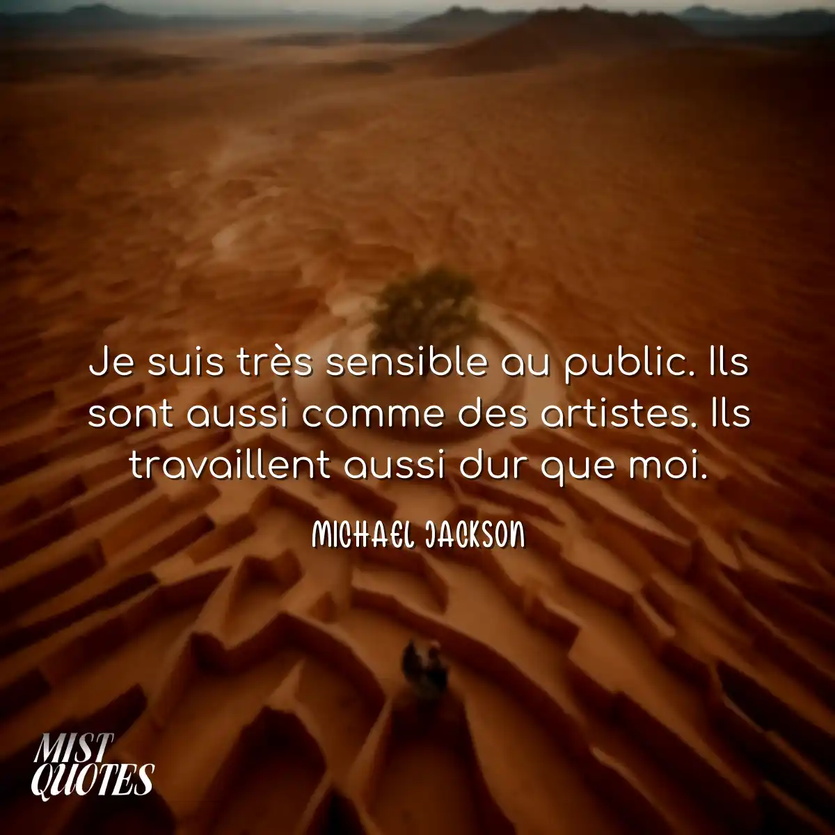 Je suis très sensible au public. Ils so