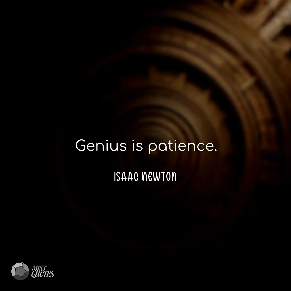 Genius is patience.