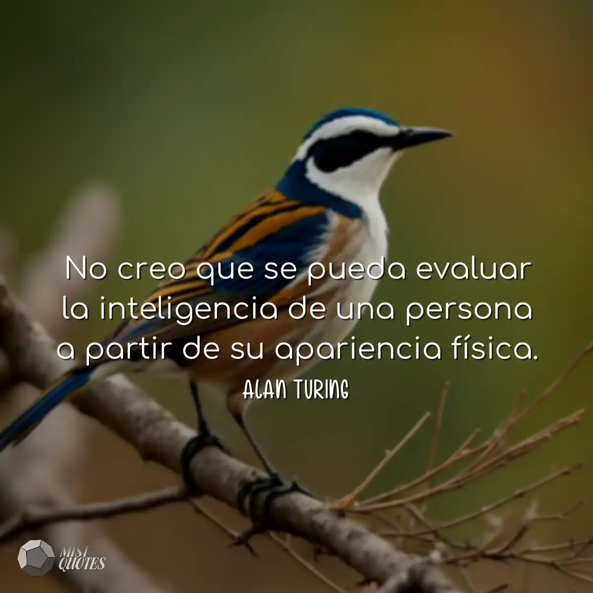 No creo que se pueda evaluar la inteligencia de un
