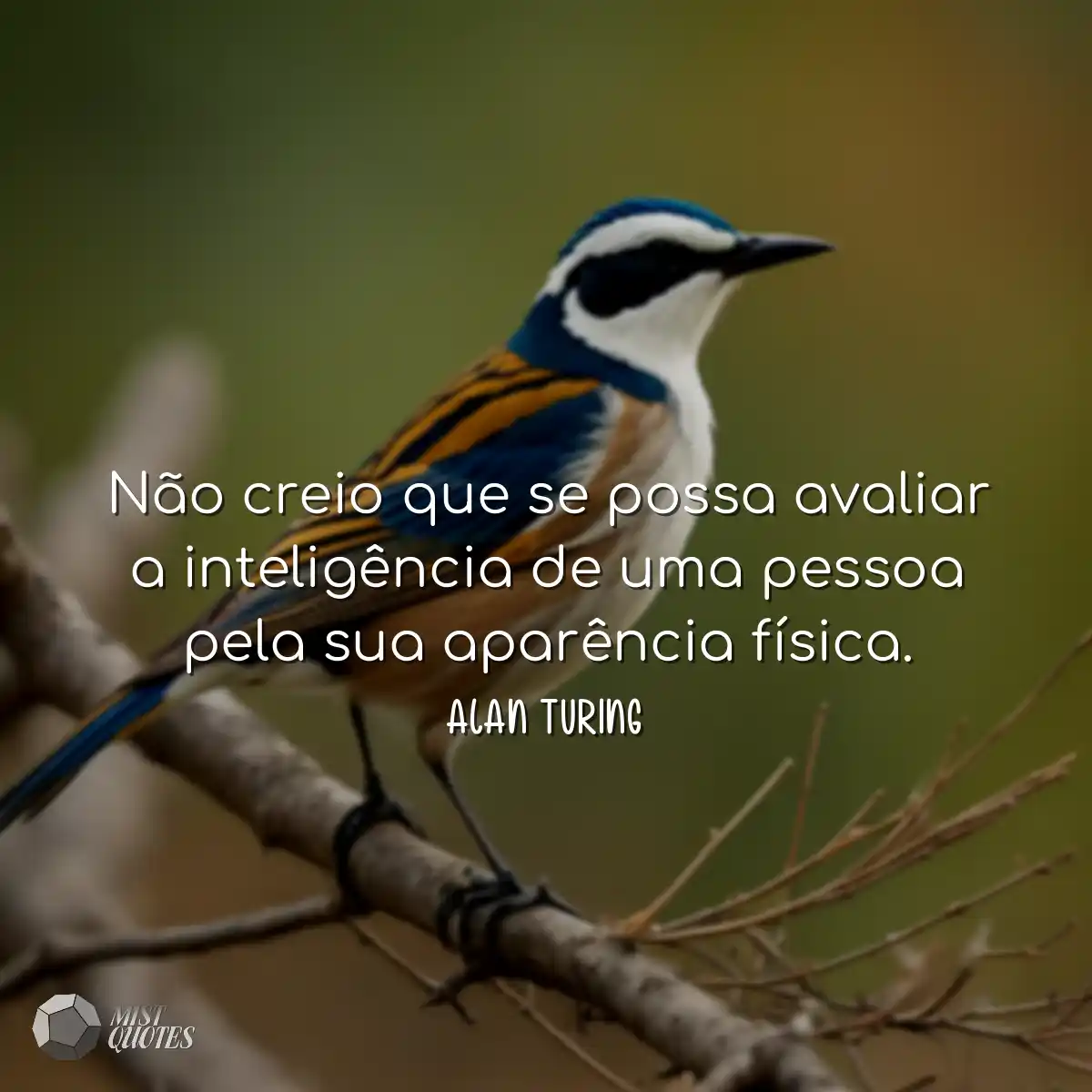 Não creio que se possa avaliar a inteli