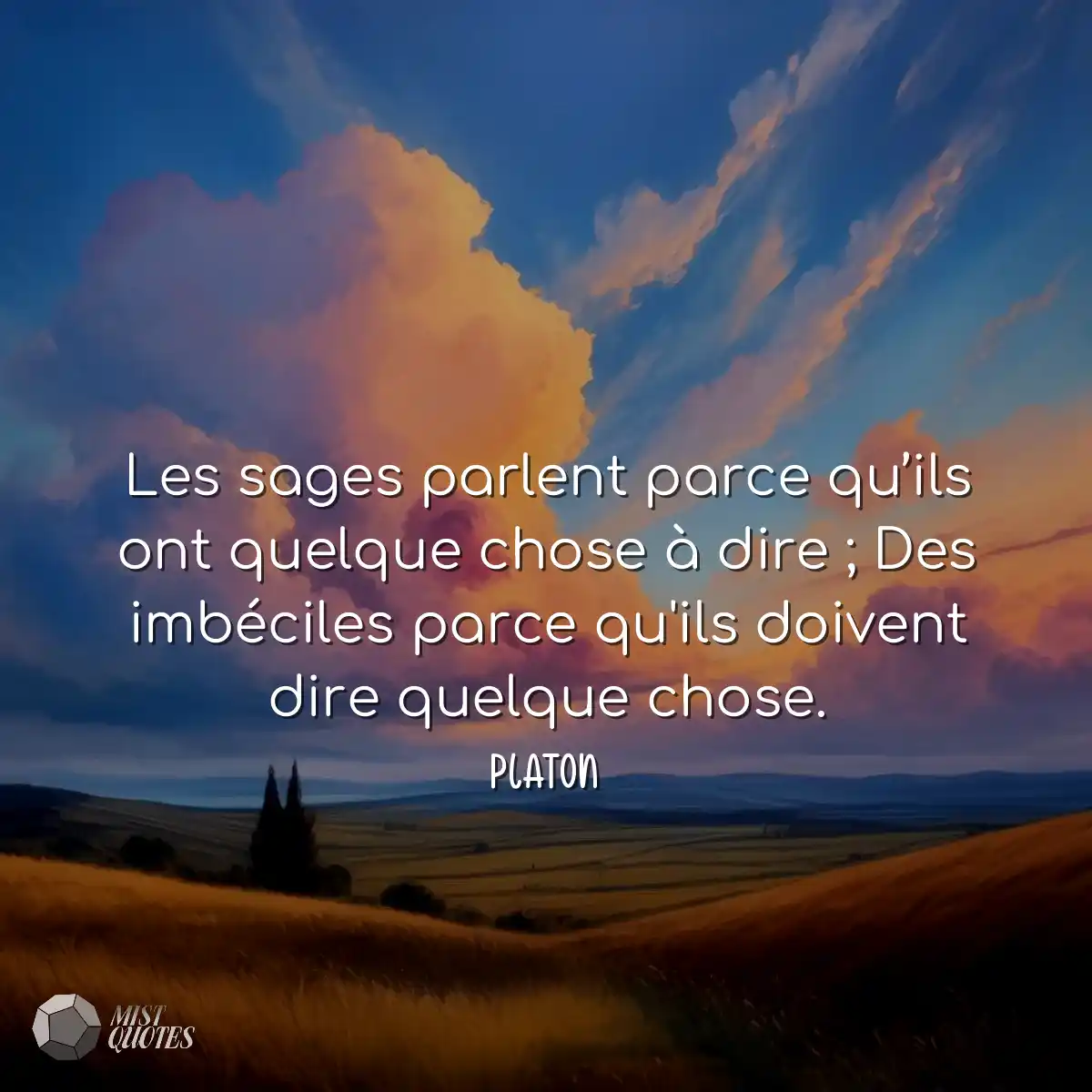 Les sages parlent parce qu’ils ont quelque chose à