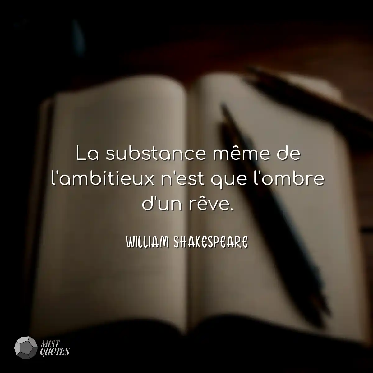 La substance même de l'ambitieux n'est 