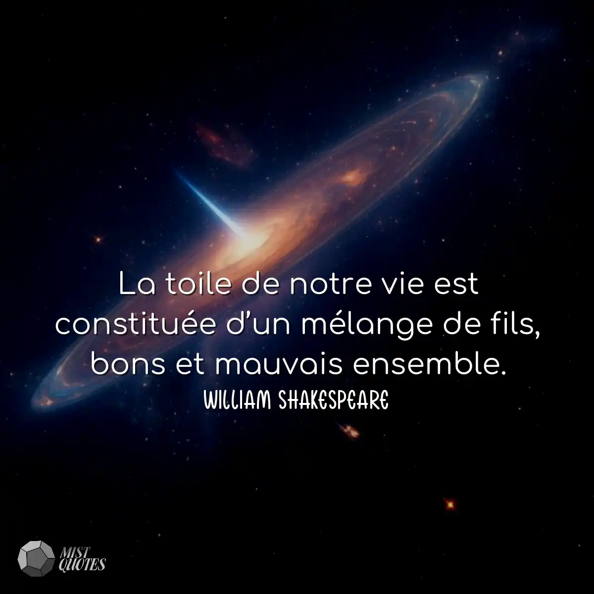 La toile de notre vie est constituée d