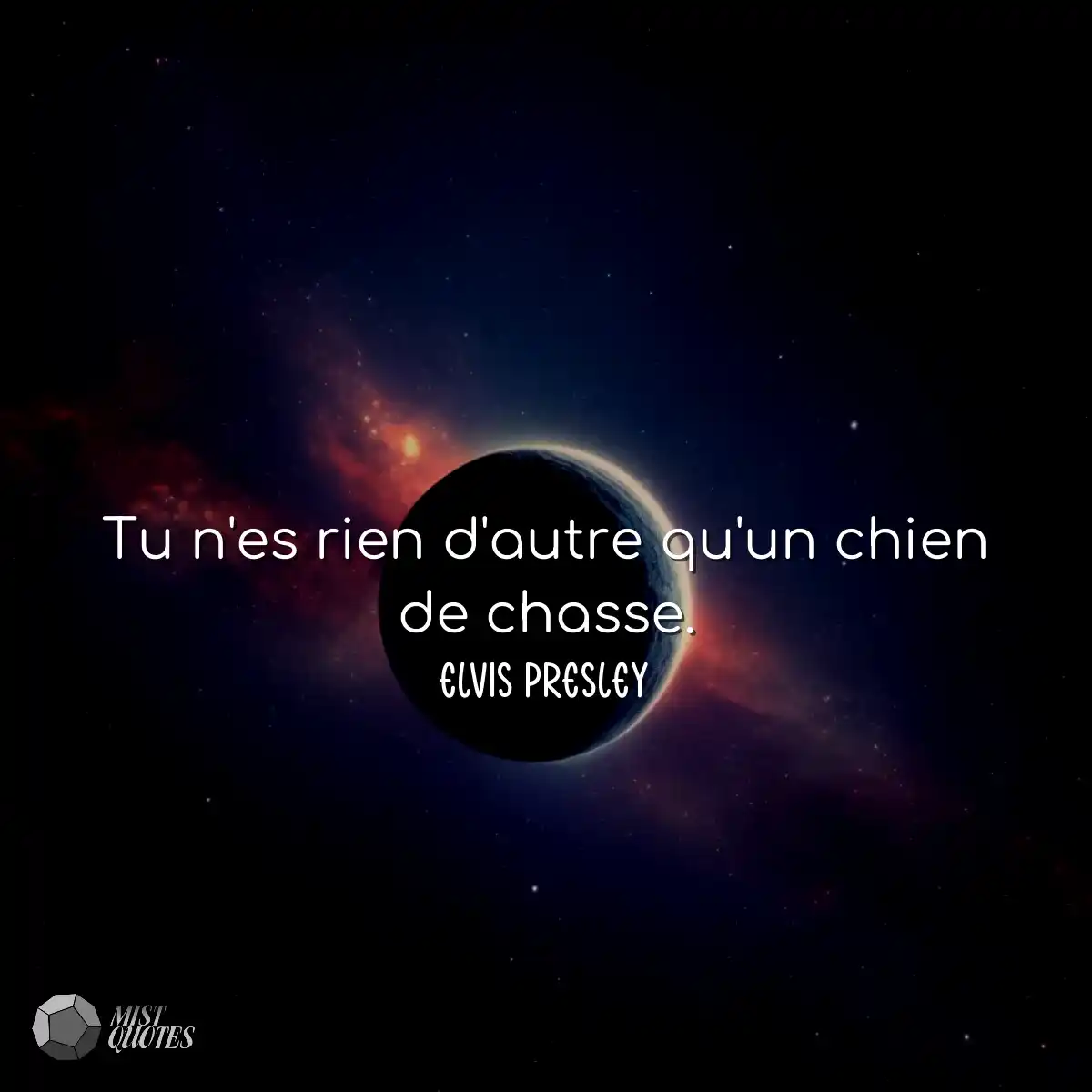 Tu n'es rien d'autre qu'un chien de chas