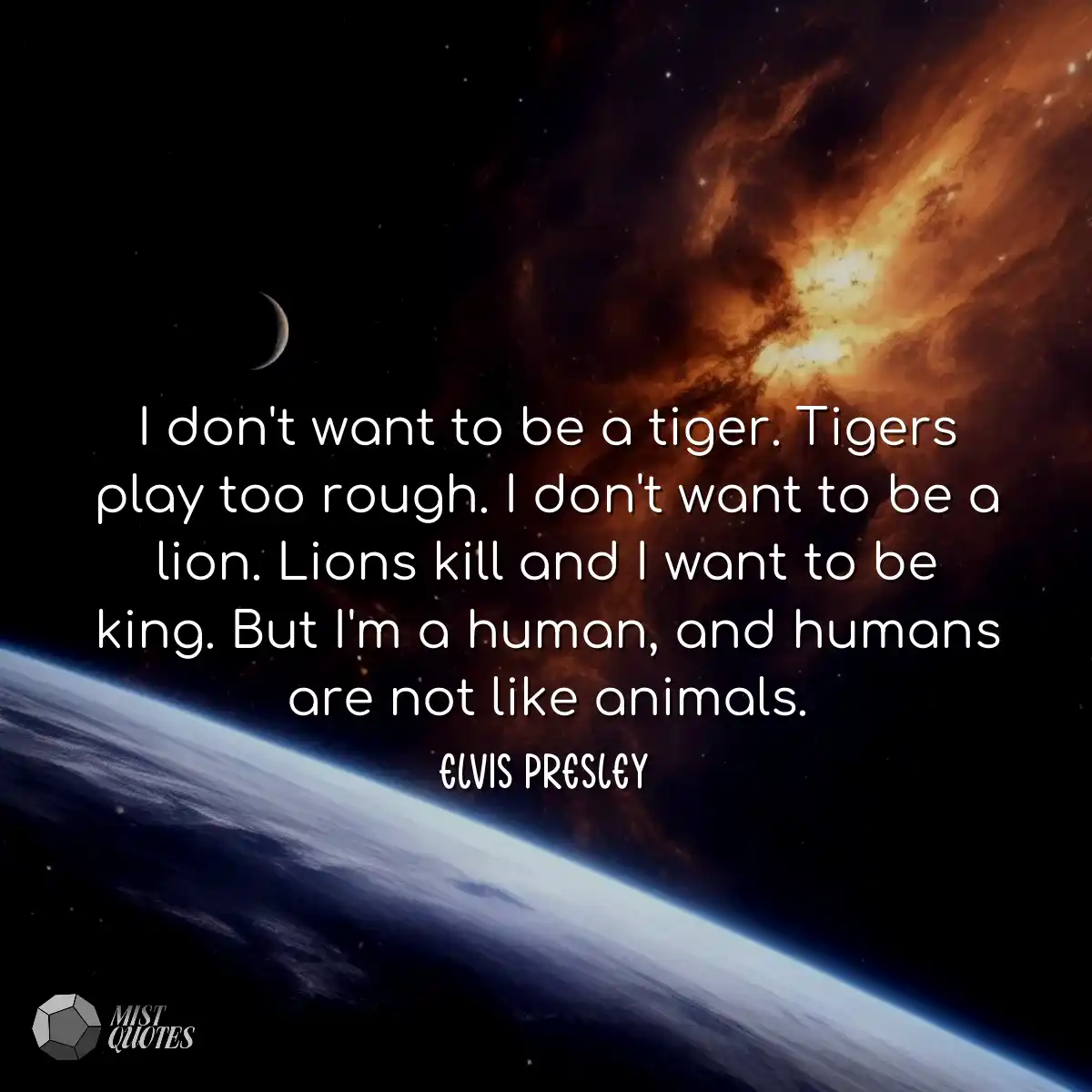 Je ne veux pas être un tigre. Les Tigre