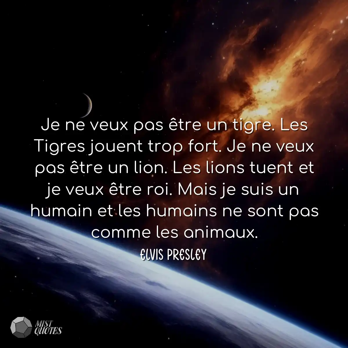 Je ne veux pas être un tigre. Les Tigres jouent tr