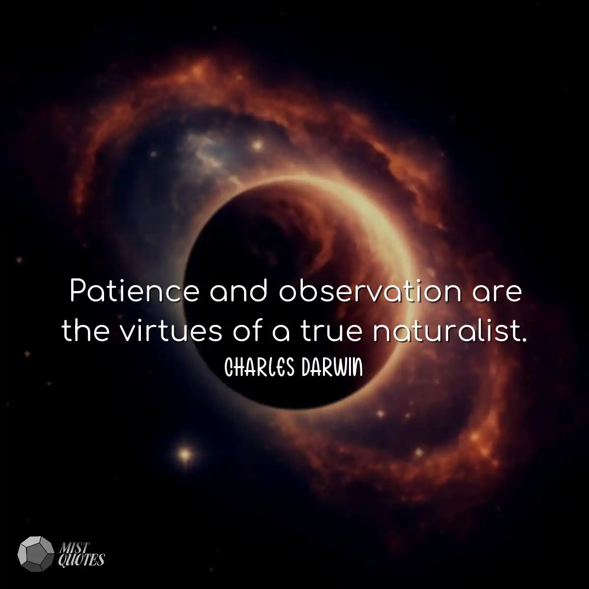 La patience et l'observation sont les ve