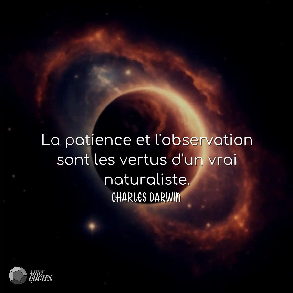 La patience et l'observation sont les vertus d'un 