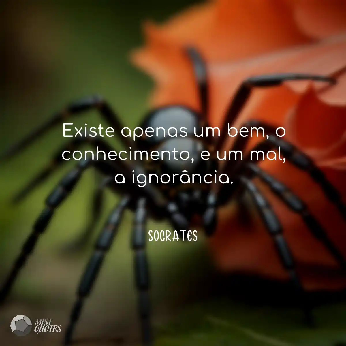 Existe apenas um bem, o conhecimento, e 