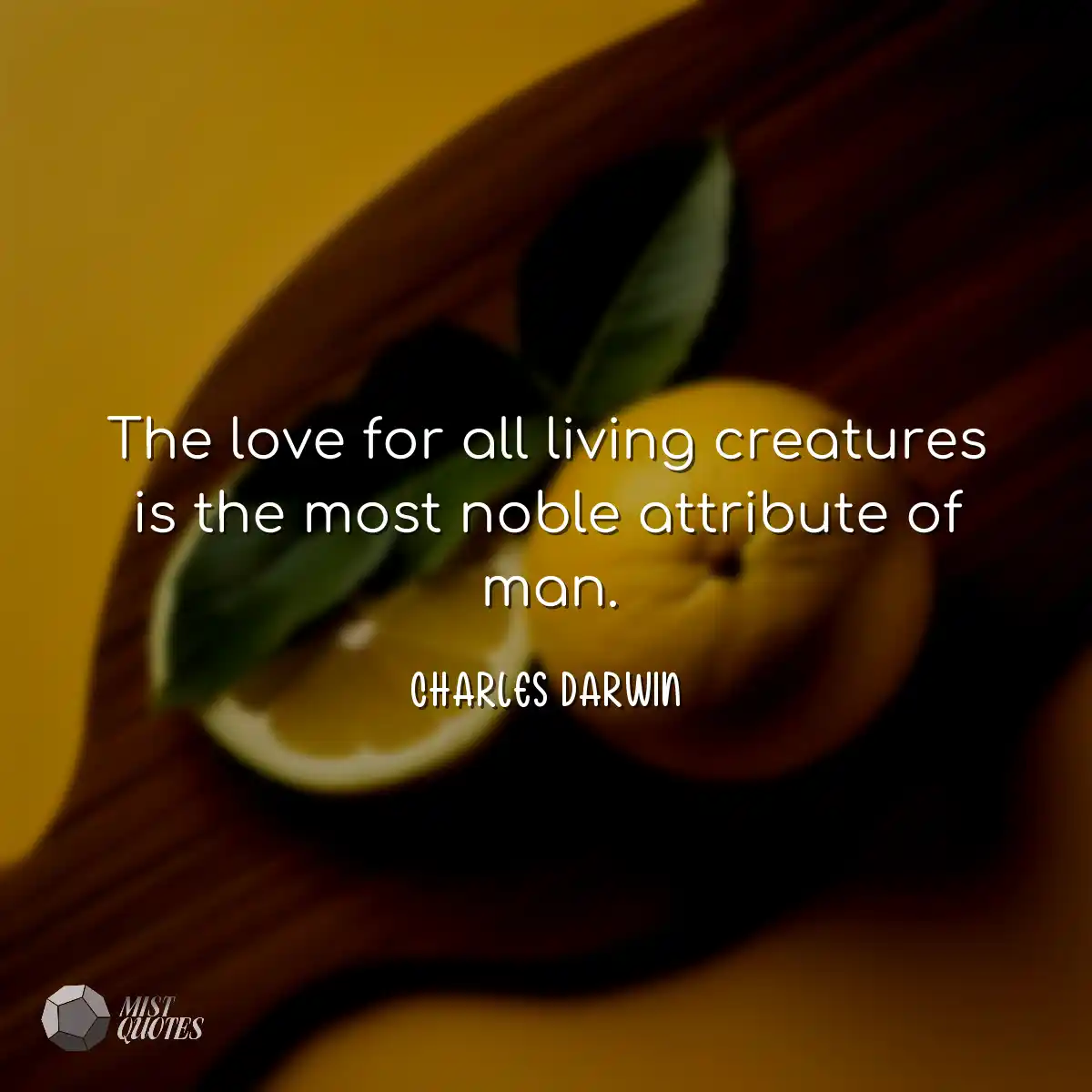 L'amour pour toutes les créatures vivan