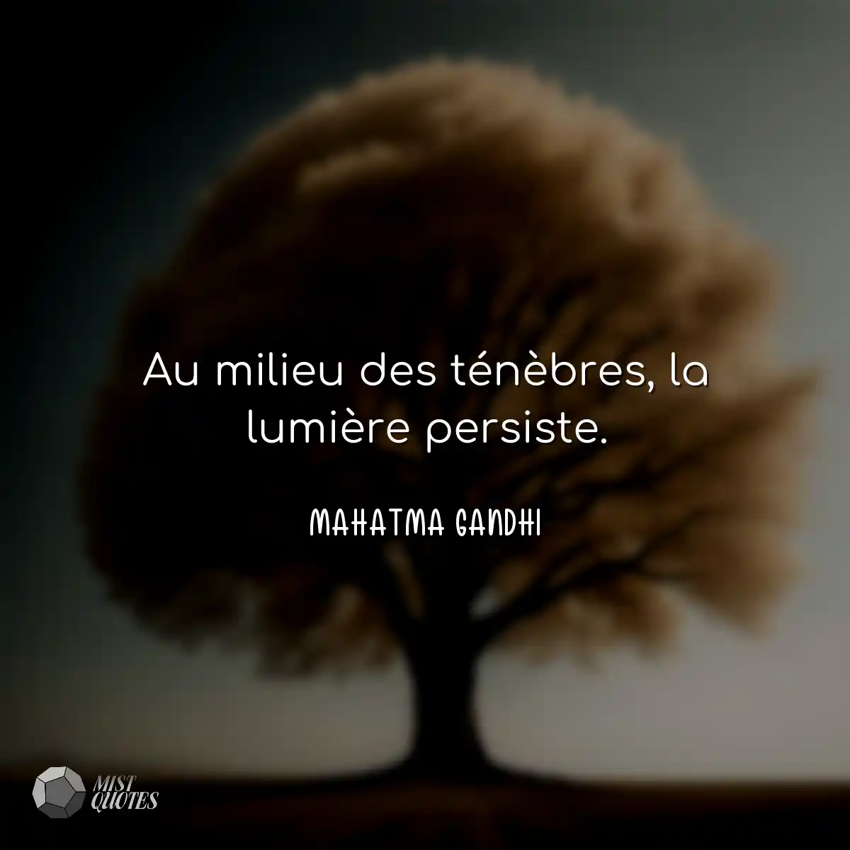 Au milieu des ténèbres, la lumière persiste.