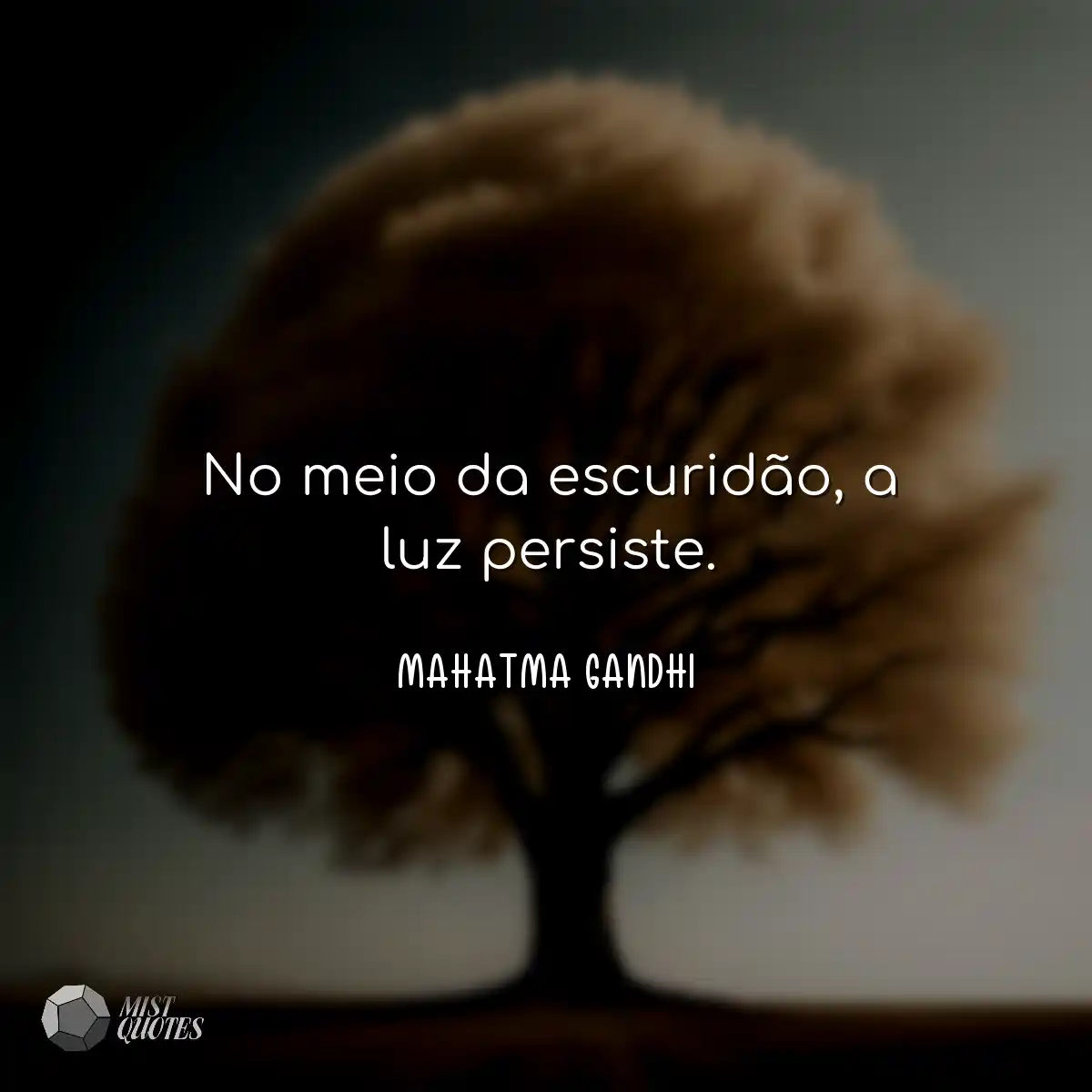No meio da escuridão, a luz persiste.