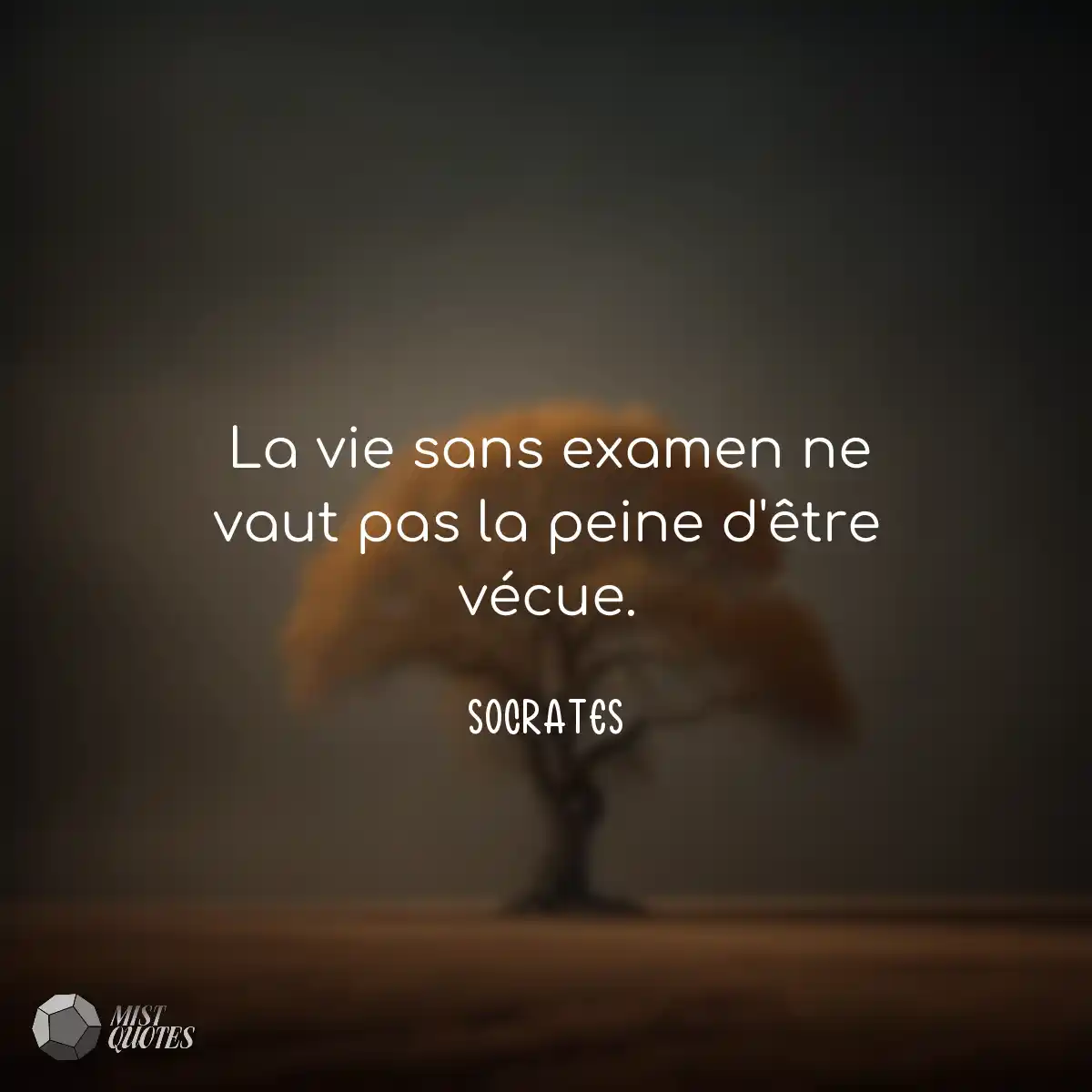 La vie sans examen ne vaut pas la peine d'être véc