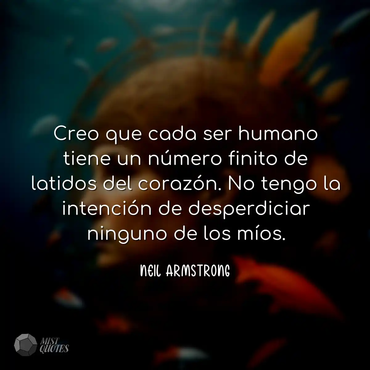 Creo que cada ser humano tiene un númer