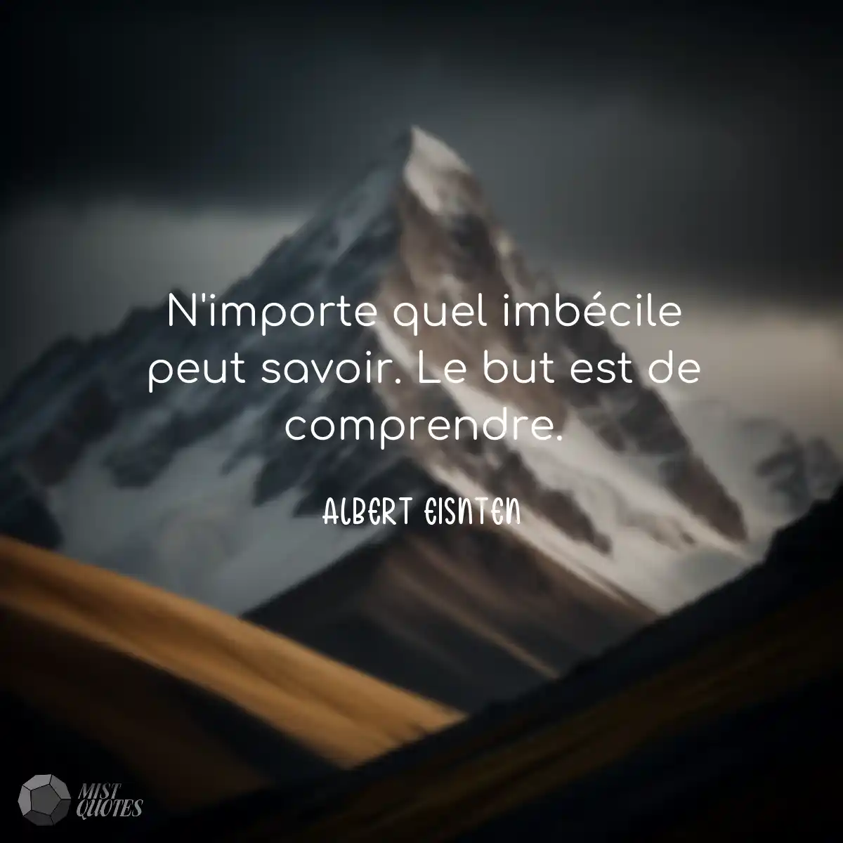 N'importe quel imbécile peut savoir. Le