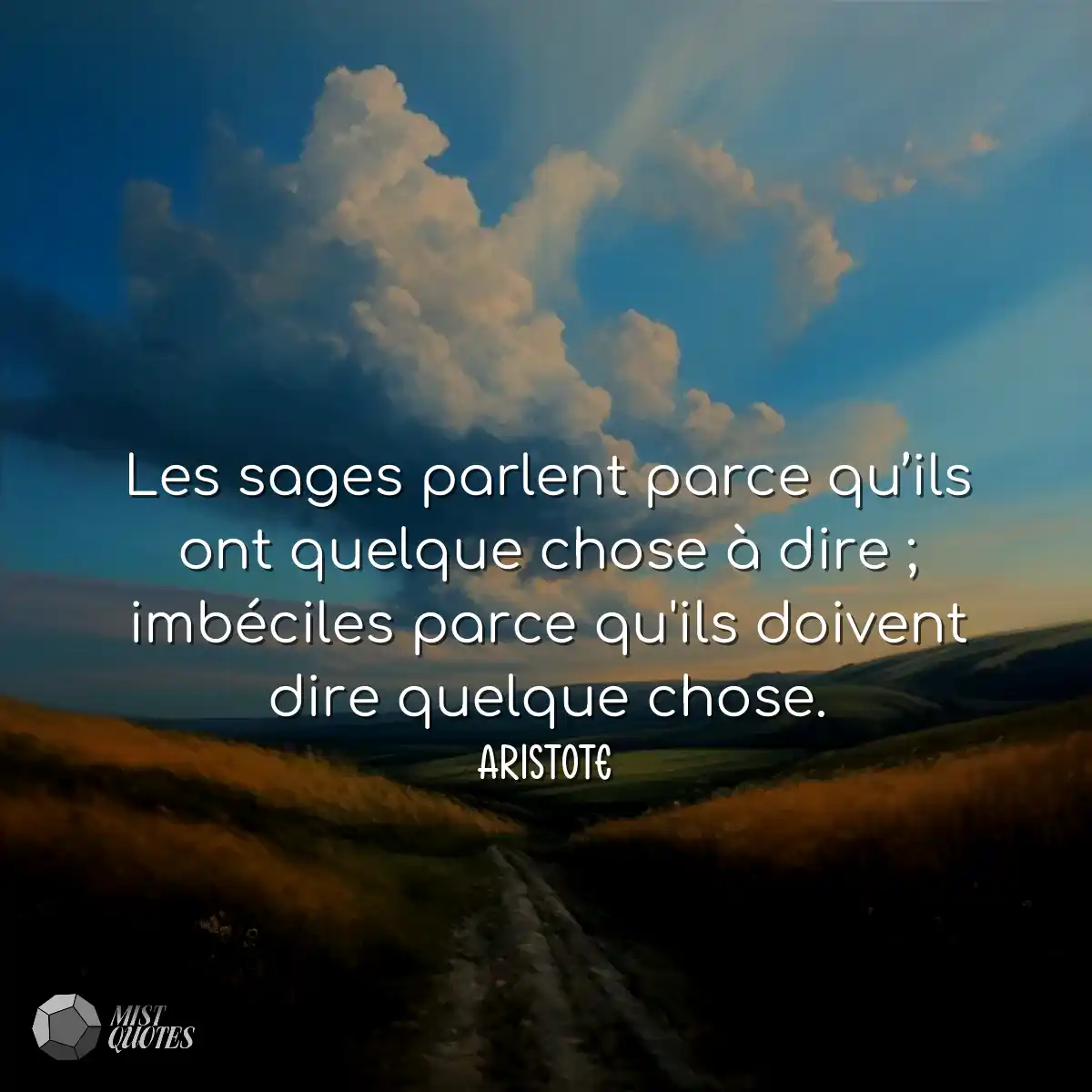 Les sages parlent parce qu’ils ont quelque chose à