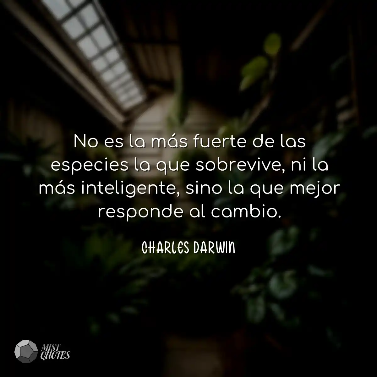 No es la más fuerte de las especies la que sobrevi