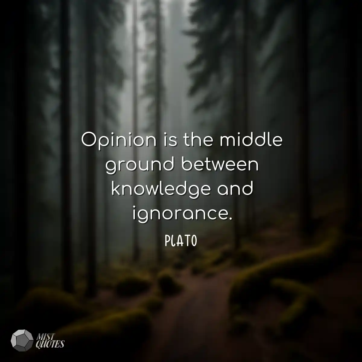Opinion is the middle ground between knowledge and