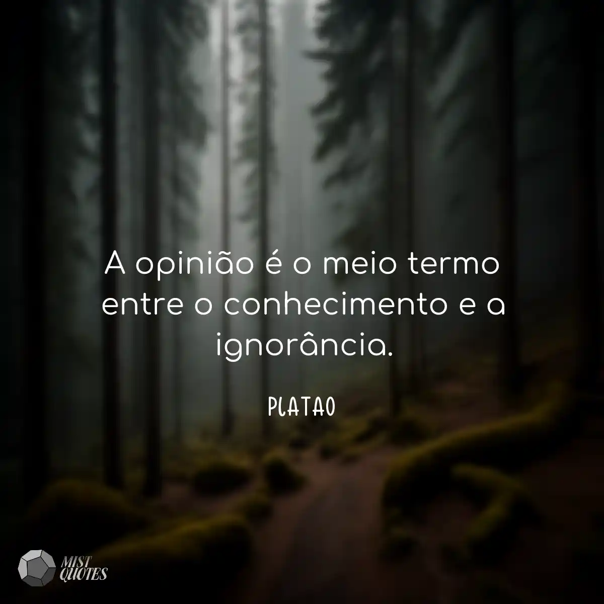 A opinião é o meio termo entre o conhecimento e a 