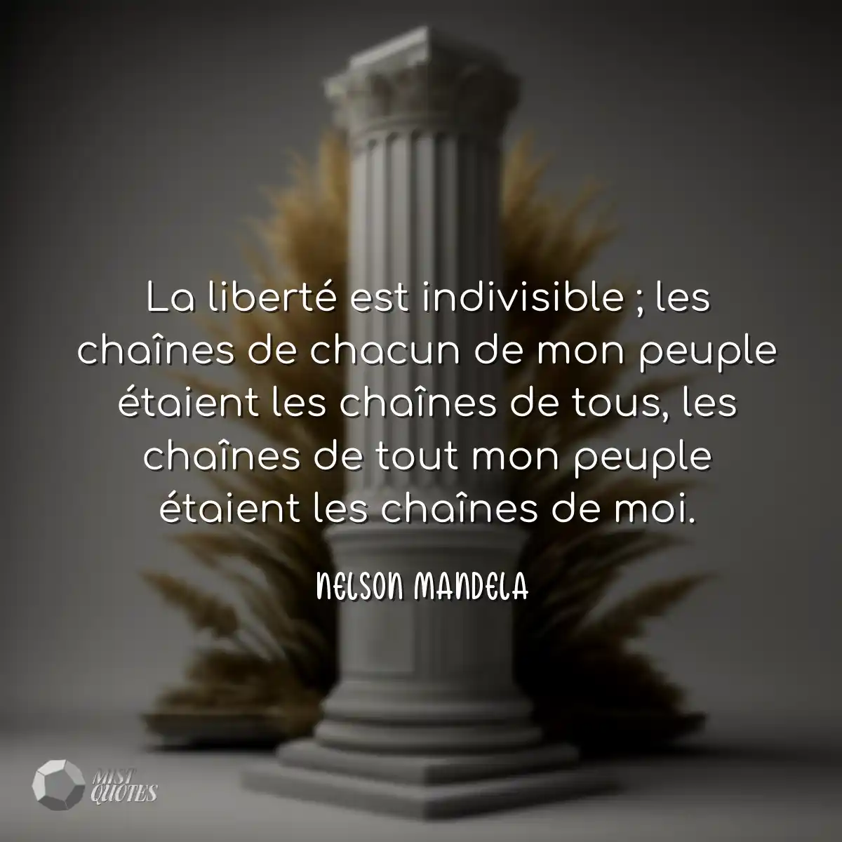 La liberté est indivisible ; les chaînes de chacun